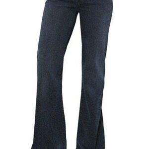 Goldsign Silvie Denim Bell Bottom Jeans Sz 27